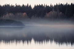 Nebel an der Thülsfelder Talsperre