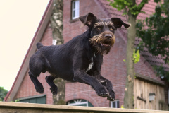 Agility